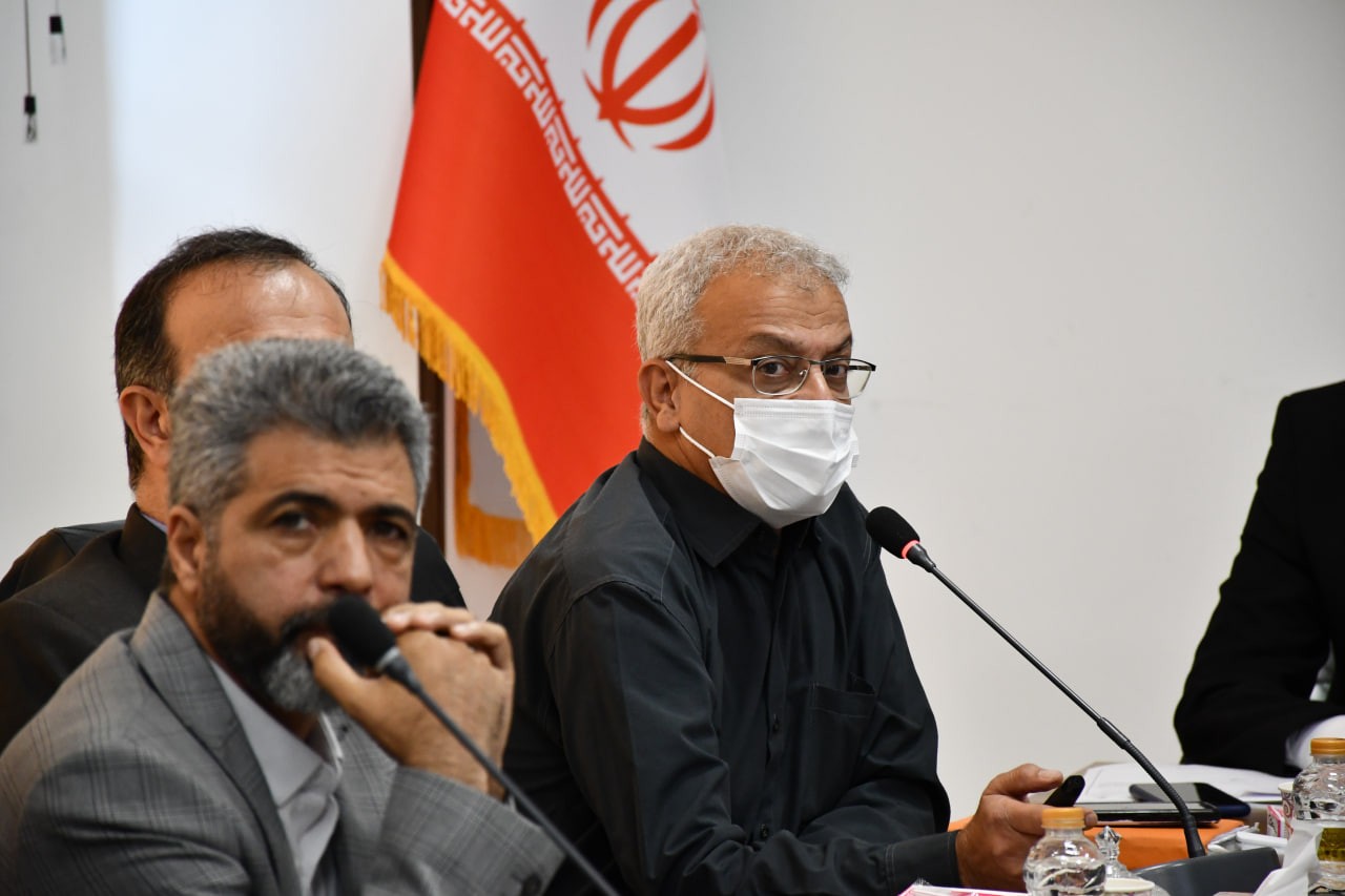 مگس مدیترانهای تا ۱۴۰۴ عرصههای باغی گلستان را نابود میکند