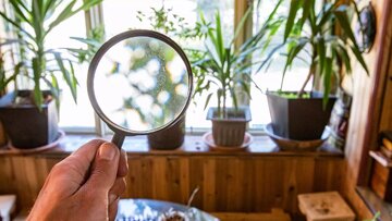 اختراع شگفتانگیز دانشمند زن ایرانی در آمریکا