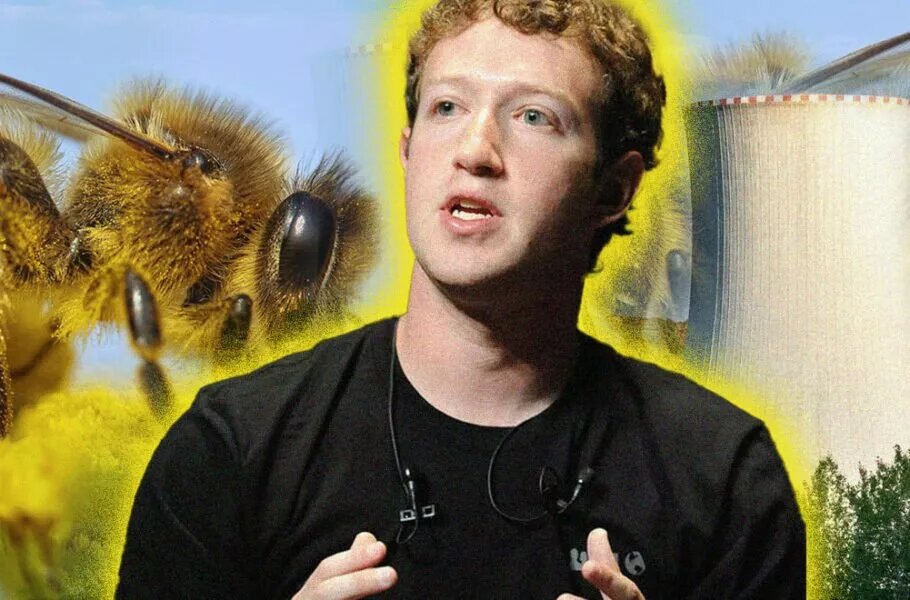 زنبورها مانع ساخت این پروژه عظیم انرژی هستهای شدند/ عکس