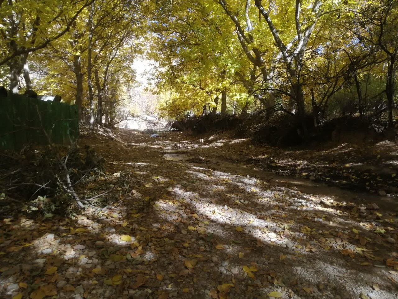 پاییز رنگارنگ در روستاهای اطراف شهرستان فیروزکوه