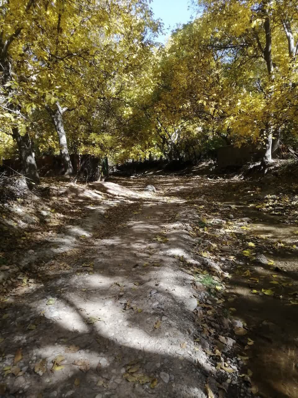 پاییز رنگارنگ در روستاهای اطراف شهرستان فیروزکوه