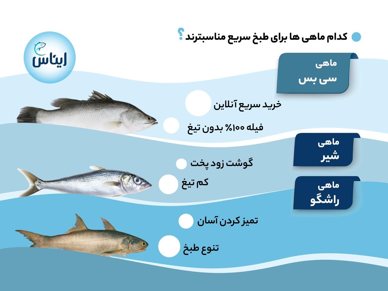 یک غذای سریع و سالم با خرید آنلاین ماهی