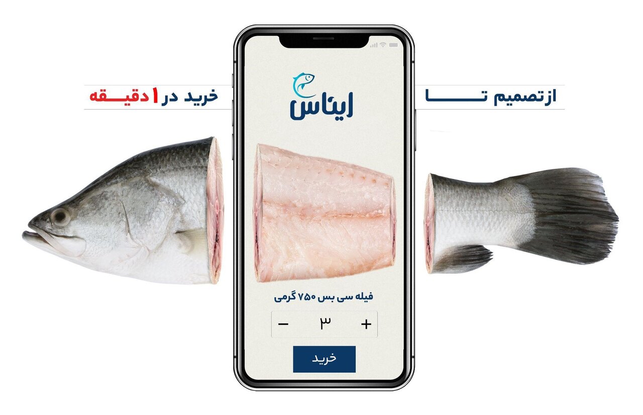 یک غذای سریع و سالم با خرید آنلاین ماهی