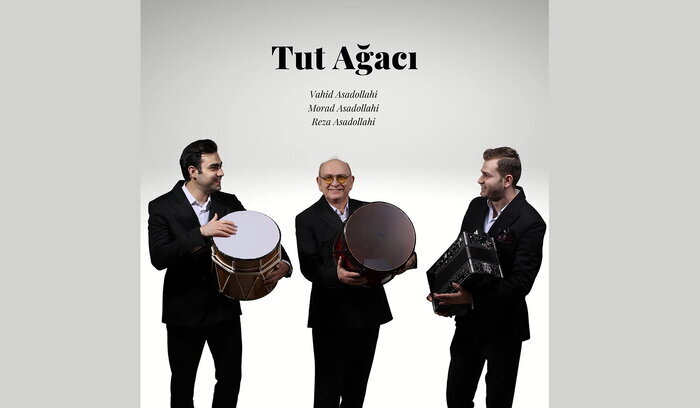 آلبومهای موسیقی سنتی همچنان پیشتاز هستند