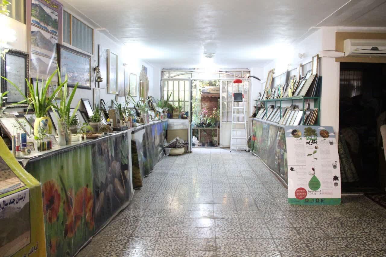 تجلیل مدیرکل ارشاد لرستان از پدر بلوط ایران