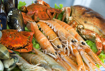 عرضه آبزیان حرام گوشت در رستورانهای تهران!/ سازمان دامپزشکی بیانیه داد عرضه آبزیان حرام گوشت در رستورانهای تهران!/ سازمان دامپزشکی بیانیه داد