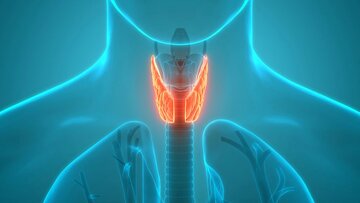 علائم کمکاری یا پرکاری تیروئید چیست؟ علائم کمکاری یا پرکاری تیروئید چیست؟