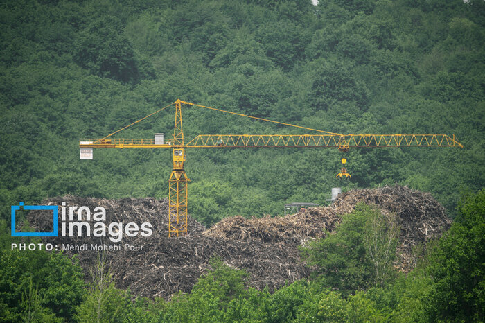 شگرد جدید قاچاقچیان برای خشکاندن جنگلهای هیرکانی