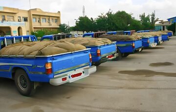 ۷ هزار خودروی شوتی در هرمزگان توقیف شد