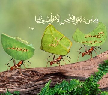 راهکارهایی برای افزایش روزی و طول عمر