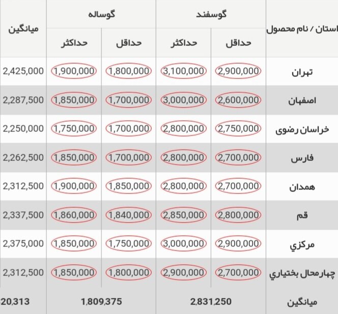 قیمت جدید دام‌زنده ۳۰ آبان ۱۴۰۳ اعلام شد/ گوسفند و گوساله ارزان شد؟ + جدول