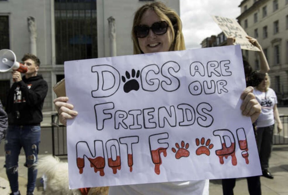 کشورهایی که سگ میخورند