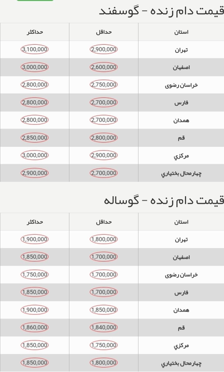 قیمت جدید دام‌زنده ۲ آذر ۱۴۰۳ اعلام شد/ قیمت گوسفند و گوساله ریخت؟ + جدول