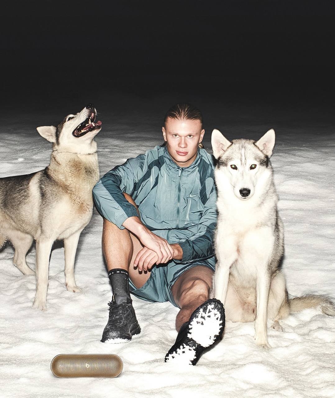 عکس | ژست جالب هالند کنار گرگها؛ من معمولی نیستم!