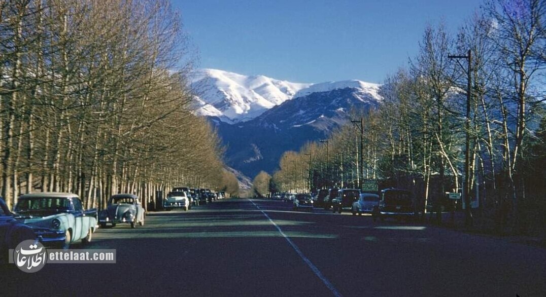 آگهی فروش خانه های ویلایی در ونک ۶۰ سال قبل/ عکس و جزییات