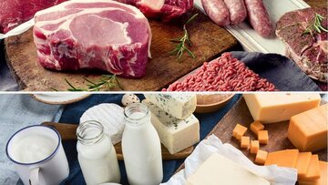 گوشت گاو طبع سرد دارد؟/ گوشت شتر؛ خوب یا بد؟ گوشت گاو طبع سرد دارد؟/ گوشت شتر؛ خوب یا بد؟