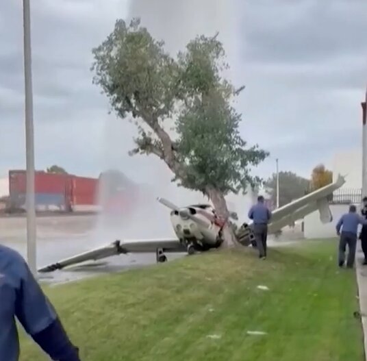 فرود اضطراری فاجعهبار: هواپیما به درخت برخورد کرد/ عکس