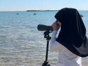 افزایش خطر شیوع آنفلوآنزای فوق‌حاد پرندگان در هرمزگان با آغاز مهاجرت پرندگان مهاجر