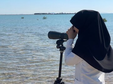 افزایش خطر شیوع آنفلوآنزای فوق‌حاد پرندگان در هرمزگان با آغاز مهاجرت پرندگان مهاجر