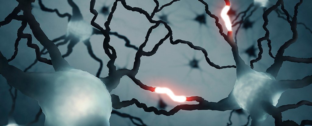 شناسایی سیگنالی منحصربهفرد در مغز