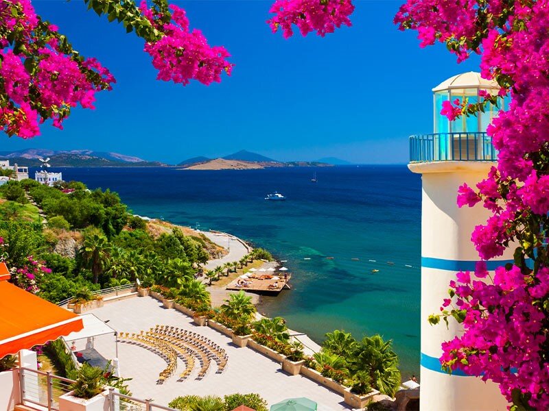 چه ارزی در سفر به بدروم همراه ببرم؟