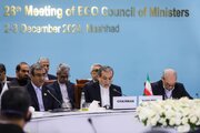 Iran’s FM calls for expansion of economic cooperation between ECO member states