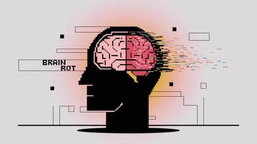 «پوسیدگی مغزی»، بیماری ترسناک و واژه سال «پوسیدگی مغزی»، بیماری ترسناک و واژه سال