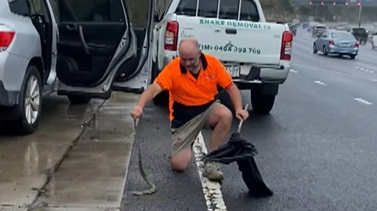 کمک به زنی که مار از بدن او بالا میرفت/ عکس