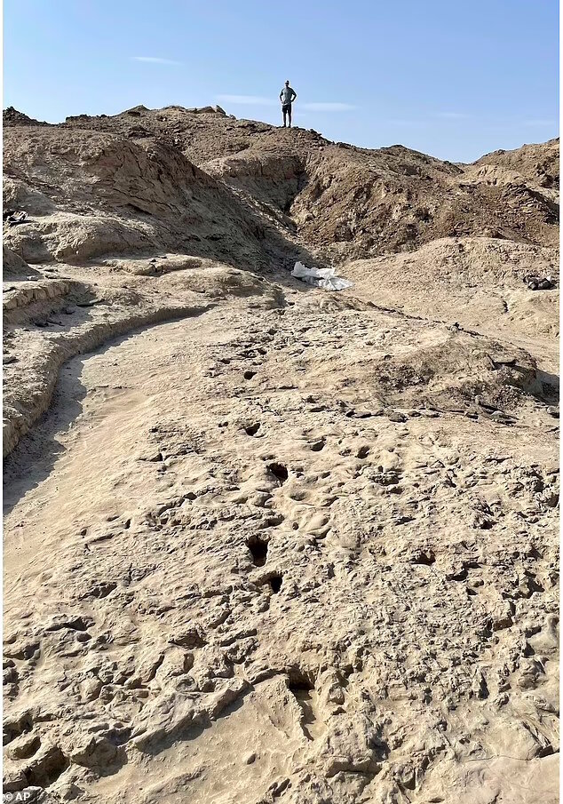 کشف ردپای یک و نیم میلیون ساله دو انسان باستانی متفاوت کنار هم