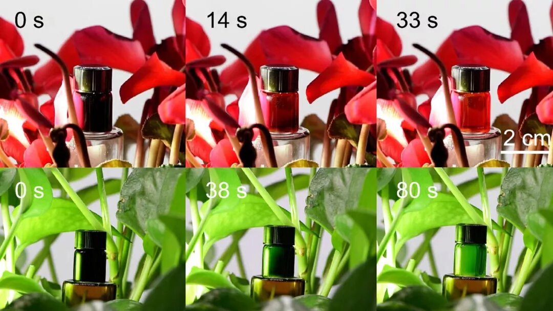 اختراع مادهای جدید که میتواند افراد را «نامرئی» کند