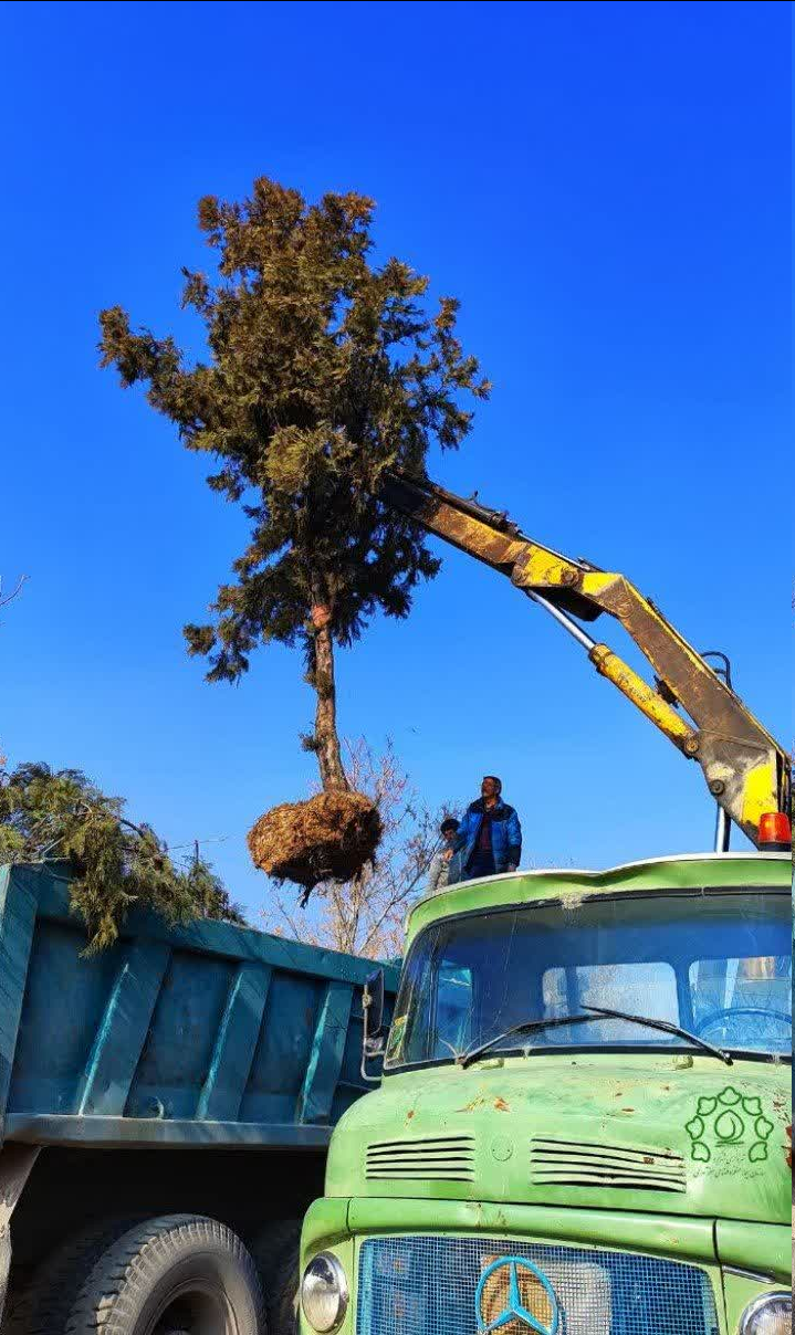 جابجایی درختان قابل انتقال در مسیر تقاطع طالقانی کاشانی به حاشیه کمربندی ۱۵ خرداد شهرکرد