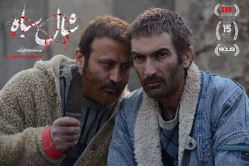 عنکبوت‌هایی که همسرانشان را می‌خورند به جشنواره حقوق بشر رفتند