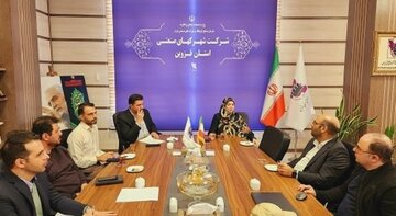 توسعه اقتصادی با راه‌اندازی شهرکهای صنعتی غیردولتی