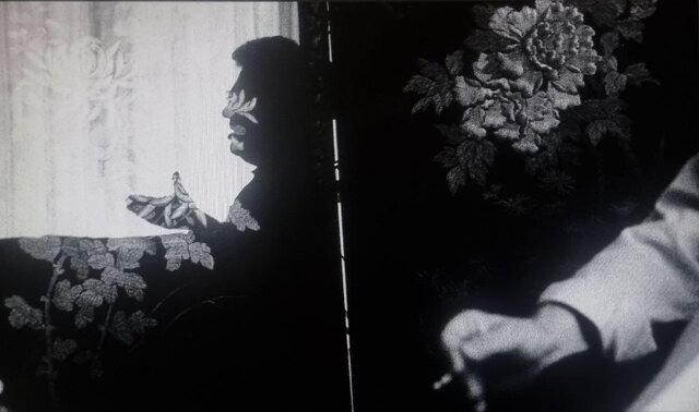 روایت سیفالله صمدیان از یک خبط آگاهانه در کارگاهی برای سینمای مستند