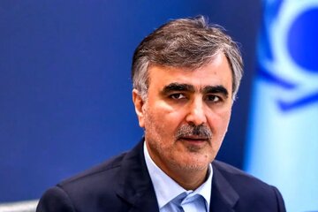 خبر مهم بانک مرکزی درباره ارز ترجیحی / سیاست تخصیص ارز ترجیحی برای کالاهای اساسی ادامه دارد