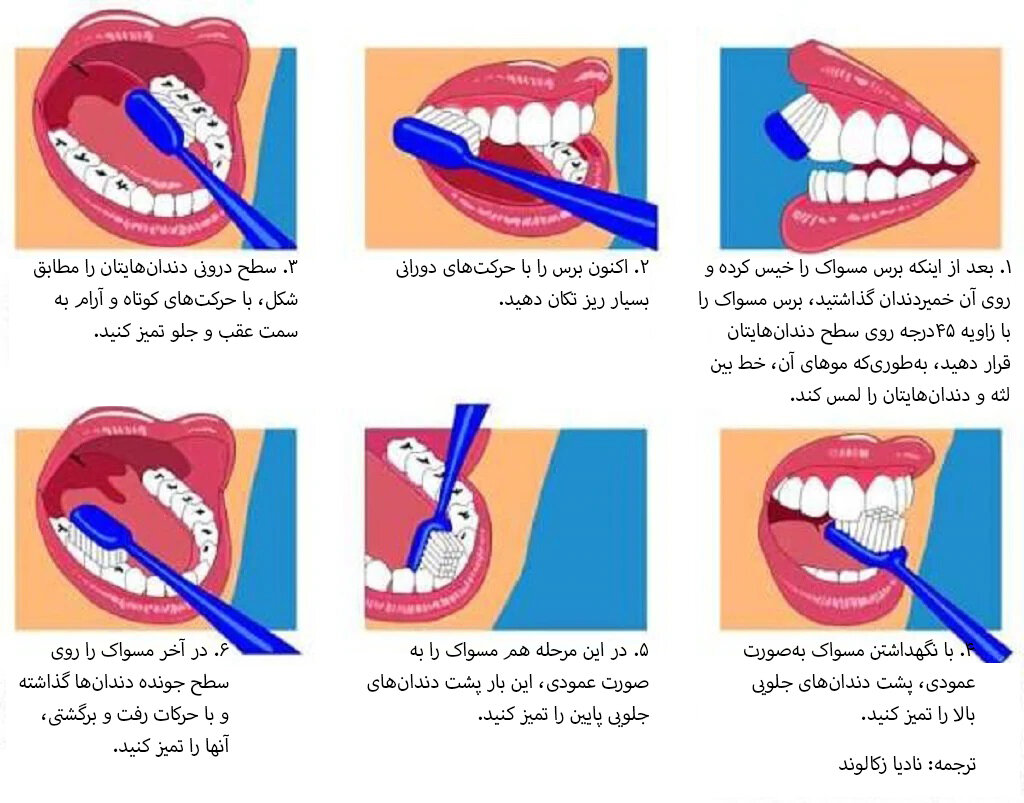 اینفوگرافیک| یک‌بار برای همیشه یاد بگیریم، روش صحیح مسواک زدن