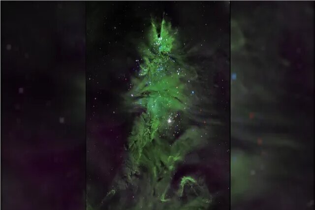 ستارههایی که شکل درخت کریسمس شدهاند / عکس