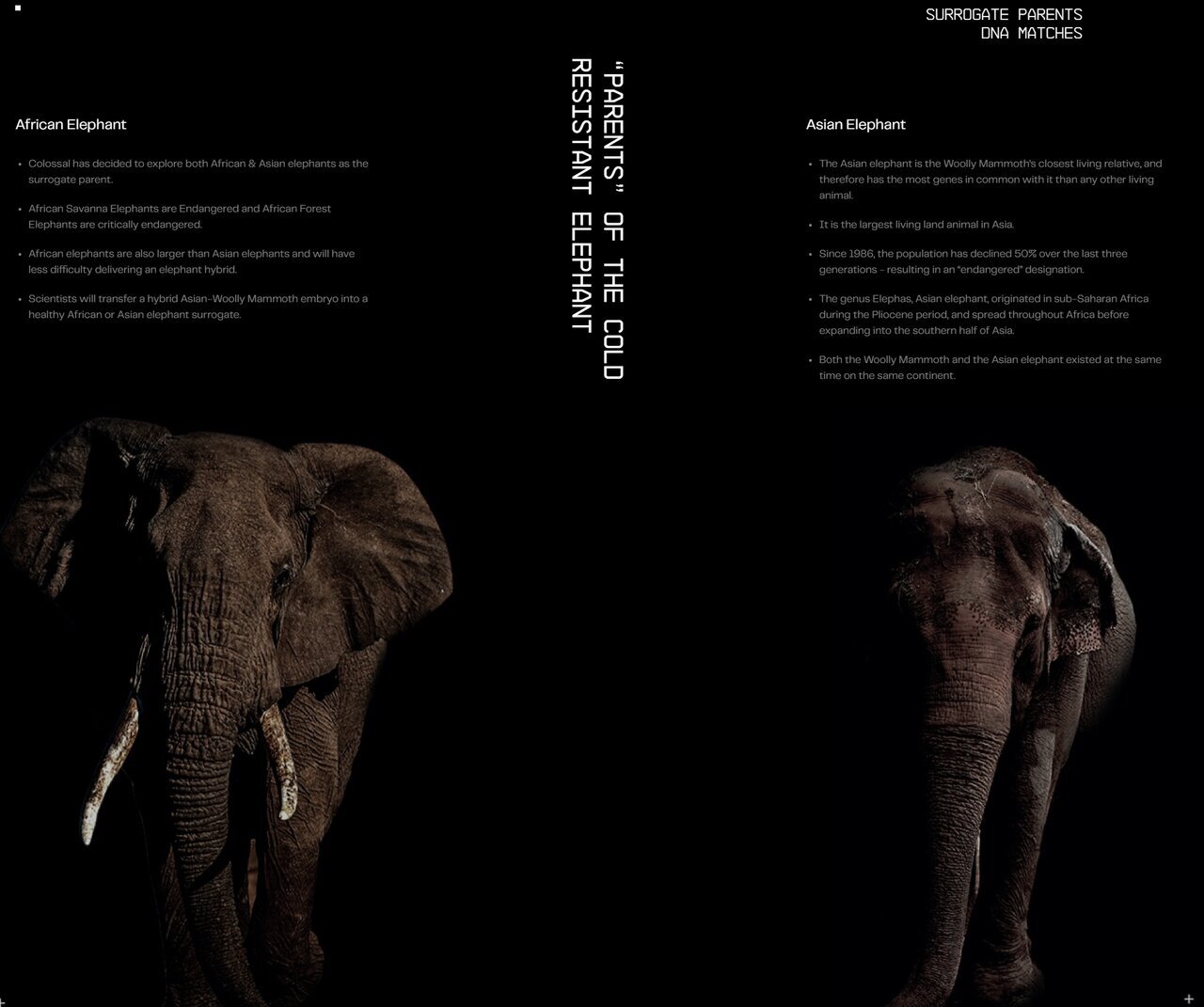 بازگشت هیولای منقرضشده به طبیعت