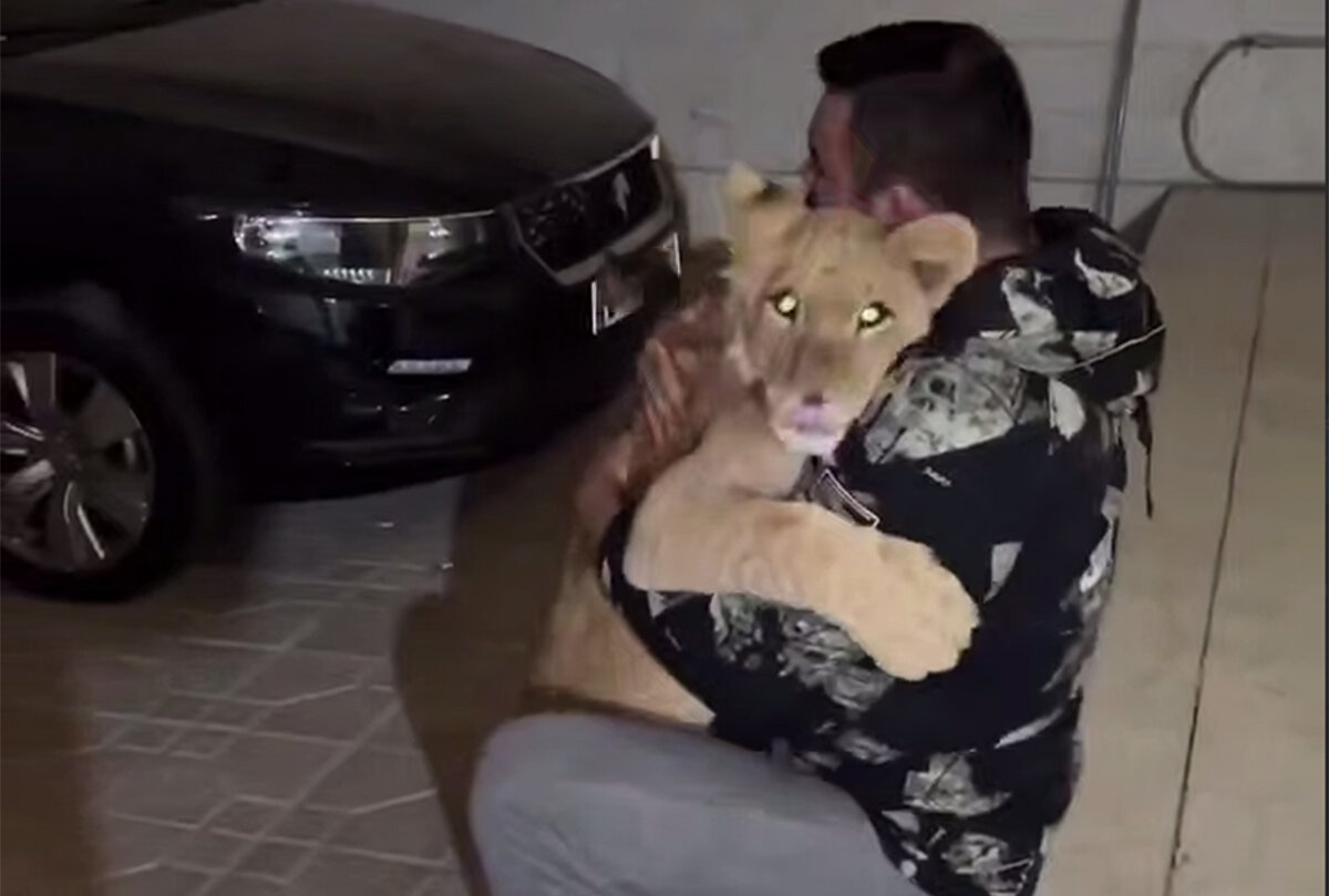 واکنش امیر علیاکبری به ویدیوی خبرساز؛ محیط زیست "پیروز" را کشت اما من این حیوان را زنده نگه داشتم!