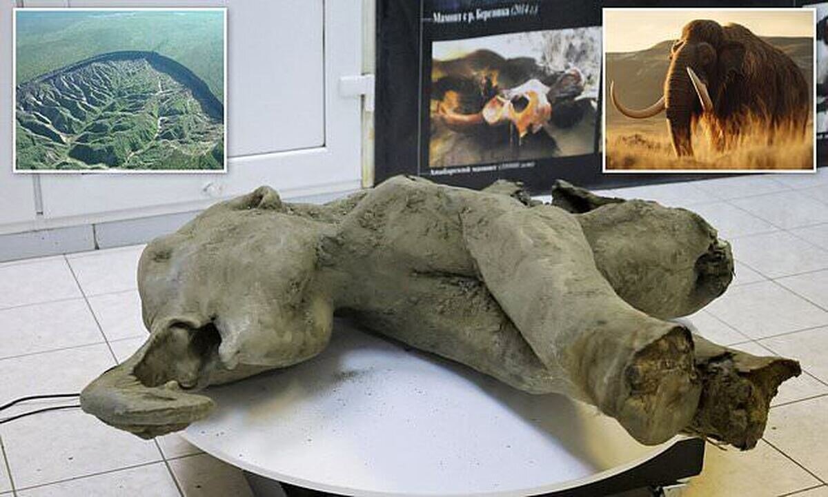 بقایای بچهماموت ۵۰ هزار ساله در سیبری کشف شد/ عکس