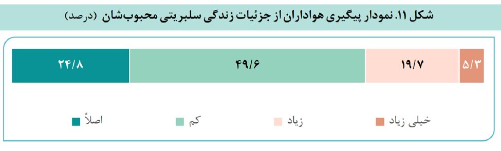 پستم را لایک کرد!/ فرهنگ سلبریتی در ایران کاستی زیادی دارد