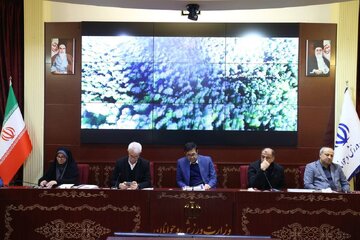 دنیامالی: باید کمپی در شأن والیبال ساخته شود / برای بازیهای آسیایی روی جودو حساب ویژهای باز کردهایم