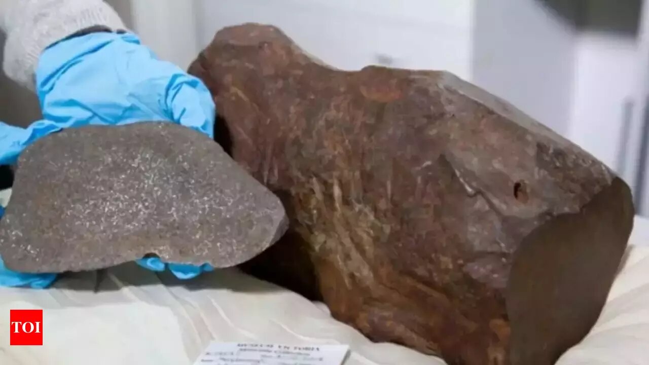 سنگی که گمان میشد طلاست اما ارزشمندتر بود!