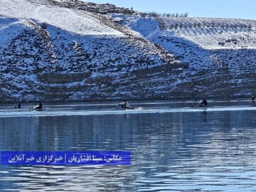 دومین اردوی تیم ملی روئینگ در سد شهرچای ارومیه