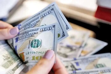 قیمت جدید دلار، یورو، درهم 24 دی1403 / اسکناس دلار چقدر قیمت خورد؟