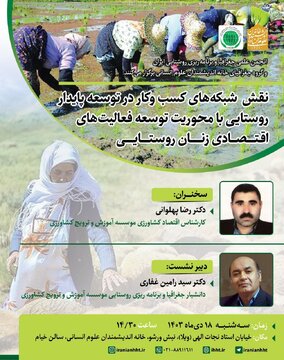 نقش شبکه های کسب و کار در توسعه پایدار روستایی؛ با محوریت توسعه فعالیت های اقتصادی زنان روستایی