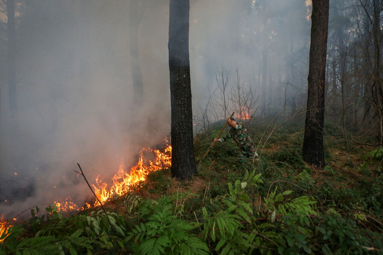 وقوع آتشسوزیهای کالیفرنیا در ایران؟/ سواحل کاسپین در معرض خطر جدی/ از سوزاندن جنگل برای ویلاسازی تا تغییرات اقلیم
