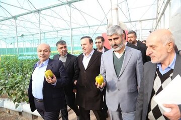 بازدید استاندار قزوین از طرحهای کشاورزی شهرستان تاکستان