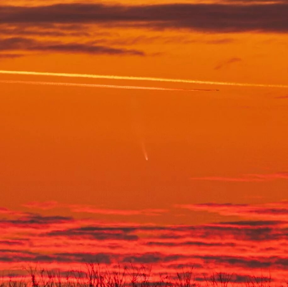 ثبت تصویر درخشانترین دنبالهدار ۲۰۲۵ /عکس