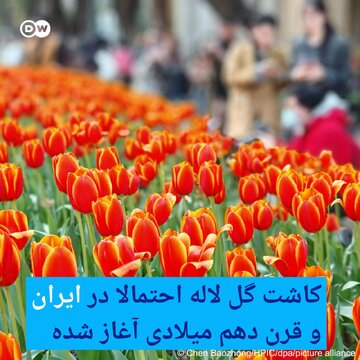 روز ملی لاله 3